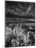Blacktail Ponds Overlook-Dean Fikar-Mounted Photographic Print
