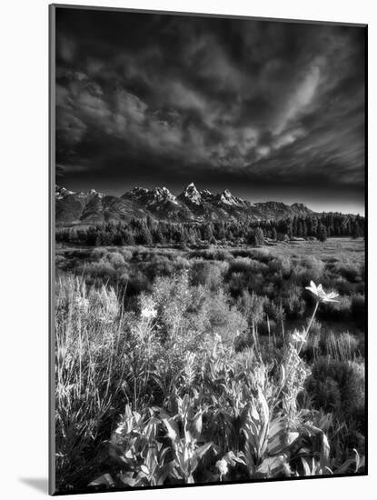 Blacktail Ponds Overlook-Dean Fikar-Mounted Photographic Print