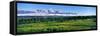 Blacktail Ponds with Mountain Range in the Background, Teton Range, Grand Teton National Park-null-Framed Stretched Canvas