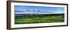 Blacktail Ponds with Mountain Range in the Background, Teton Range, Grand Teton National Park-null-Framed Photographic Print