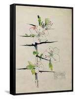 Blackthorn, Chiddingstone, Kent, 1910-Charles Rennie Mackintosh-Framed Stretched Canvas