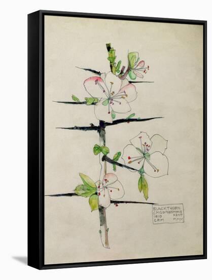 Blackthorn, Chiddingstone, Kent, 1910-Charles Rennie Mackintosh-Framed Stretched Canvas