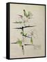 Blackthorn, Chiddingstone, Kent, 1910-Charles Rennie Mackintosh-Framed Stretched Canvas