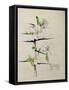 Blackthorn, Chiddingstone, Kent, 1910-Charles Rennie Mackintosh-Framed Stretched Canvas