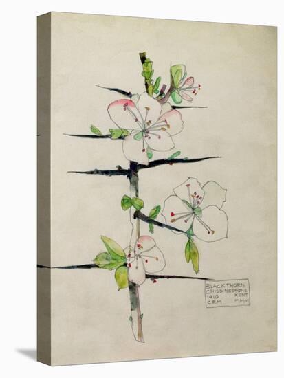 Blackthorn, Chiddingstone, Kent, 1910-Charles Rennie Mackintosh-Stretched Canvas