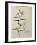 Blackthorn, Chiddingstone, Kent, 1910-Charles Rennie Mackintosh-Framed Giclee Print