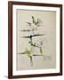 Blackthorn, Chiddingstone, Kent, 1910-Charles Rennie Mackintosh-Framed Giclee Print