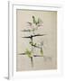 Blackthorn, Chiddingstone, Kent, 1910-Charles Rennie Mackintosh-Framed Giclee Print