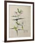 Blackthorn, Chiddingstone, Kent, 1910-Charles Rennie Mackintosh-Framed Giclee Print