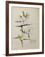 Blackthorn, Chiddingstone, Kent, 1910-Charles Rennie Mackintosh-Framed Giclee Print