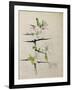 Blackthorn, Chiddingstone, Kent, 1910-Charles Rennie Mackintosh-Framed Giclee Print