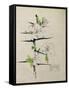 Blackthorn, Chiddingstone, Kent, 1910-Charles Rennie Mackintosh-Framed Stretched Canvas