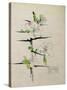 Blackthorn, Chiddingstone, Kent, 1910-Charles Rennie Mackintosh-Stretched Canvas