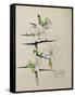 Blackthorn, Chiddingstone, Kent, 1910-Charles Rennie Mackintosh-Framed Stretched Canvas