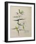 Blackthorn, Chiddingstone, Kent, 1910-Charles Rennie Mackintosh-Framed Giclee Print