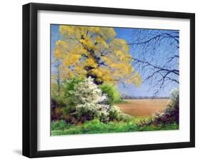 Blackthorn Winter, 2003-Anthony Rule-Framed Giclee Print