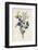 Blackthorn-F. Edward Hulme-Framed Photographic Print