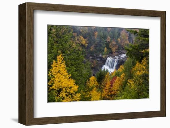 Blackwater Falls in autumn in Blackwater Falls State Park in Davis, West Virginia, USA-Chuck Haney-Framed Photographic Print