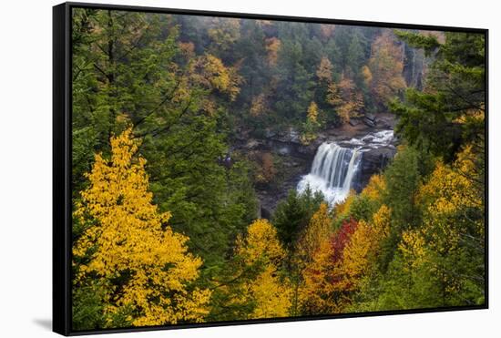 Blackwater Falls in autumn in Blackwater Falls State Park in Davis, West Virginia, USA-Chuck Haney-Framed Stretched Canvas