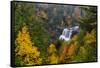 Blackwater Falls in autumn in Blackwater Falls State Park in Davis, West Virginia, USA-Chuck Haney-Framed Stretched Canvas