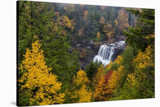 Blackwater Falls in autumn in Blackwater Falls State Park in Davis, West Virginia, USA-Chuck Haney-Stretched Canvas