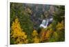 Blackwater Falls in autumn in Blackwater Falls State Park in Davis, West Virginia, USA-Chuck Haney-Framed Photographic Print