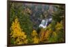 Blackwater Falls in autumn in Blackwater Falls State Park in Davis, West Virginia, USA-Chuck Haney-Framed Photographic Print