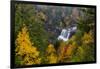 Blackwater Falls in autumn in Blackwater Falls State Park in Davis, West Virginia, USA-Chuck Haney-Framed Photographic Print