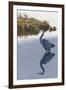 Blackwater Reflections II-Fred Szatkowski-Framed Art Print