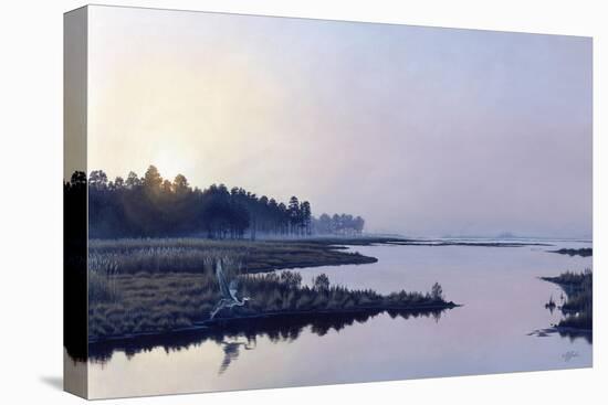 Blackwater Sunrise-Wilhelm Goebel-Stretched Canvas