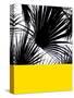 Blacvk&Wh_PalmLeaves_Yellow.jpg-Dominique Vari-Stretched Canvas