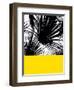 Blacvk&Wh_PalmLeaves_Yellow.jpg-Dominique Vari-Framed Art Print