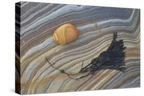 Bladder Wrack (Fucus Vesiculosus) and Sandstone Patterns-Peter Barritt-Stretched Canvas