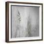 Blade of Grass-Gilbert Claes-Framed Photographic Print