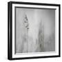 Blade of Grass-Gilbert Claes-Framed Photographic Print