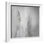 Blade of Grass-Gilbert Claes-Framed Photographic Print