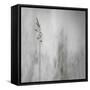 Blade of Grass-Gilbert Claes-Framed Stretched Canvas