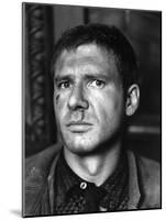 BLADE RUNNER, 1981 directed by RIDLEY SCOTT Harrison Ford (b/w photo)-null-Mounted Photo