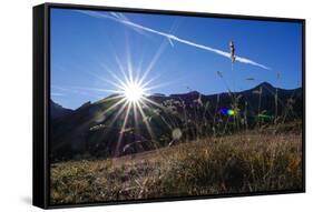 Blades of Grass in the Back Light, Sunrise Above the Spronser Col, South Tirol-Rolf Roeckl-Framed Stretched Canvas