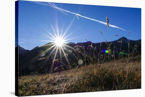 Blades of Grass in the Back Light, Sunrise Above the Spronser Col, South Tirol-Rolf Roeckl-Stretched Canvas