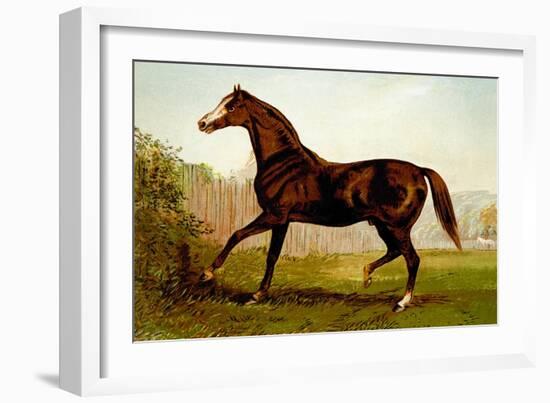 Blair Athol-Samuel Sidney-Framed Art Print