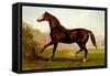 Blair Athol-Samuel Sidney-Framed Stretched Canvas