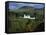 Blair Castle, Perthshire, Scotland, United Kingdom, Europe-null-Framed Stretched Canvas