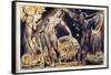 Blake: Jerusalem, 1804-William Blake-Framed Stretched Canvas
