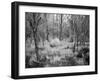 Blakeley State Park, Civil War-Carol Highsmith-Framed Photo