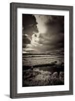 Blakeney Marshes on the Norfolk Coastline-Tim Kahane-Framed Photographic Print