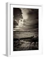 Blakeney Marshes on the Norfolk Coastline-Tim Kahane-Framed Photographic Print