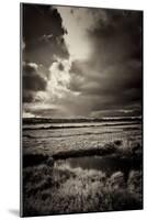 Blakeney Marshes on the Norfolk Coastline-Tim Kahane-Mounted Photographic Print