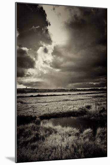 Blakeney Marshes on the Norfolk Coastline-Tim Kahane-Mounted Photographic Print