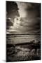 Blakeney Marshes on the Norfolk Coastline-Tim Kahane-Mounted Photographic Print